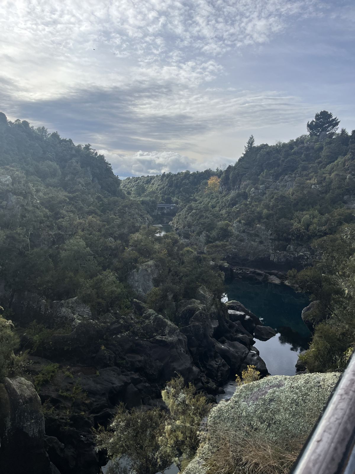 The gorge walk in to Huka Falls