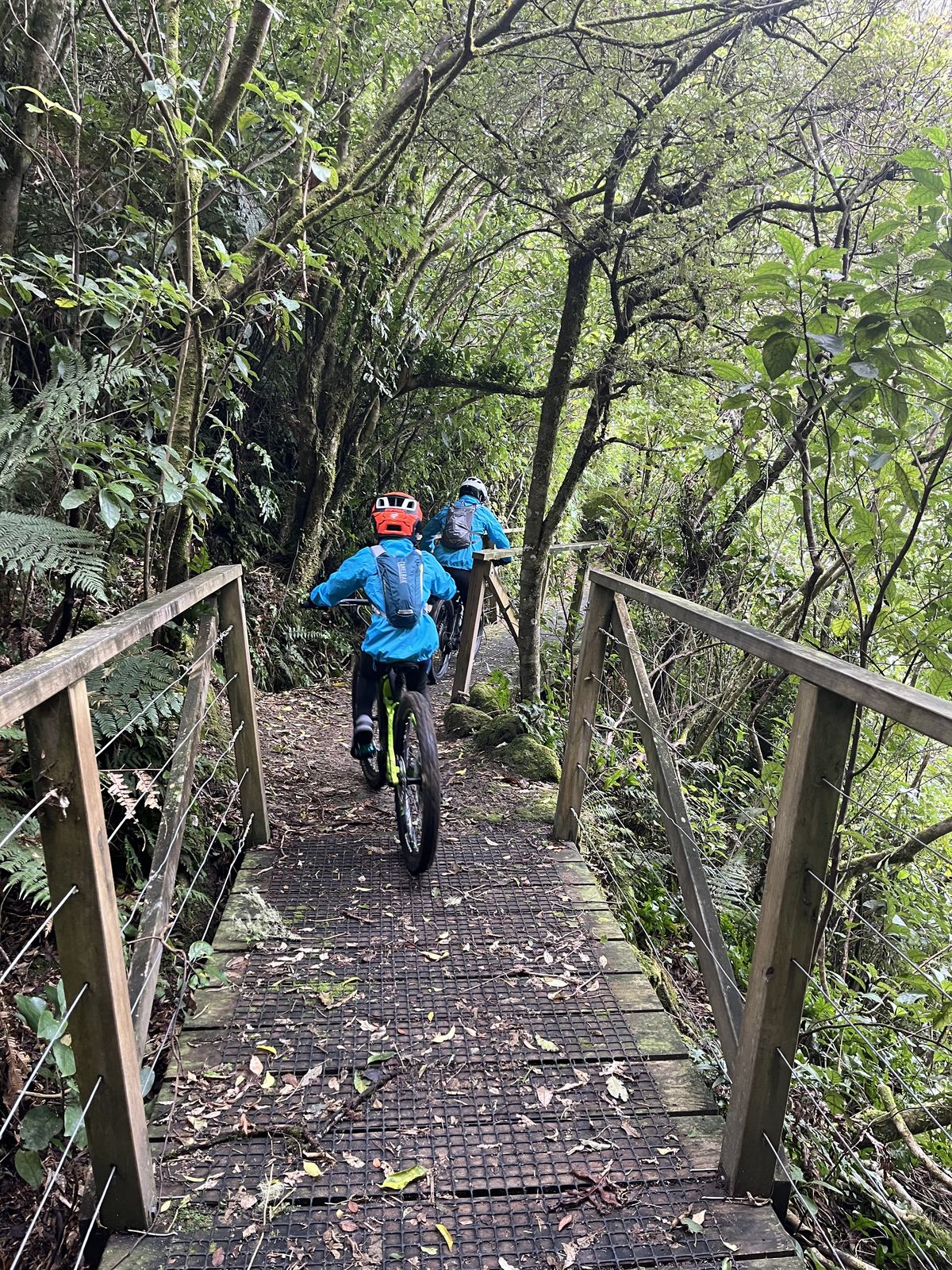 Mountain biking the Great Lake Trail
