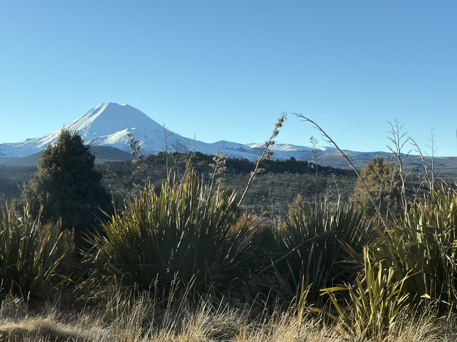 Mount Ngauruhoe close up